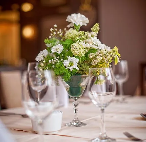 Jarota Otel Jarocin (Jarocin)